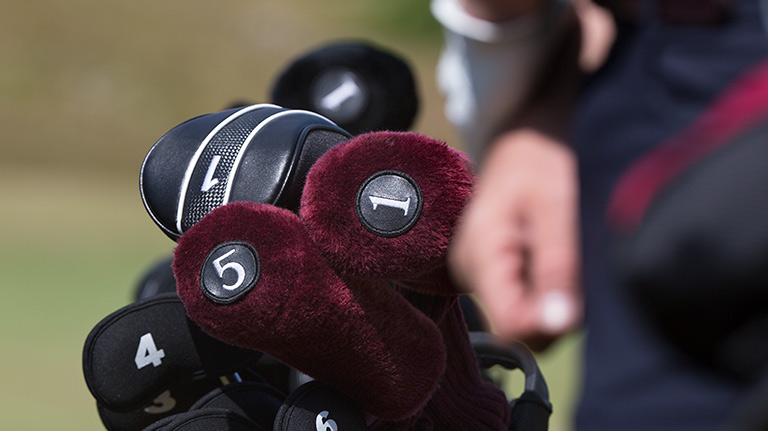 ゴルファー保険 プレミアムプラン