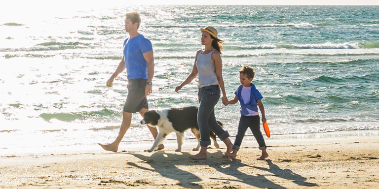 最高1億円の旅行傷害保険