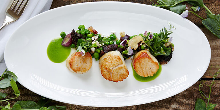 多彩な優待サービス