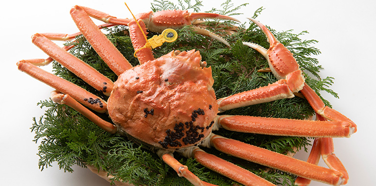 『味わいづくし』2025年 冬号