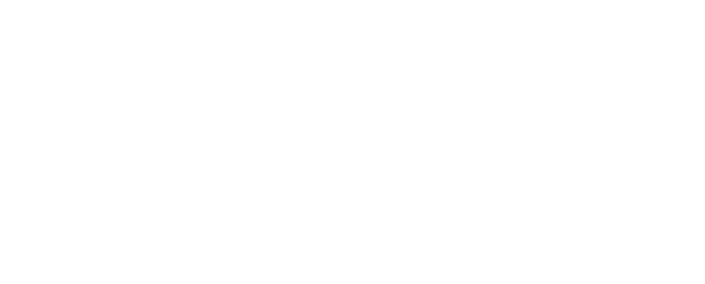 ポイント