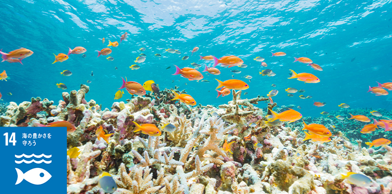 【結果発表】海とSDGs自由研究コンテスト！