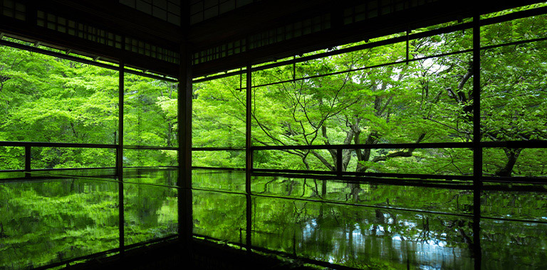 京都 荷物キャリーサービス