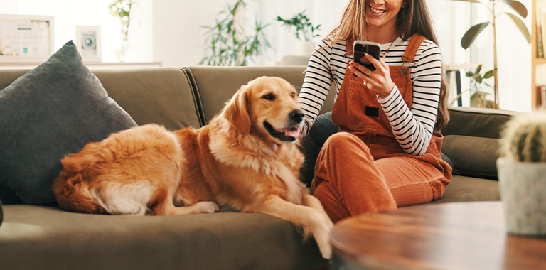 「AnyMall わたしのAI獣医さん」を特別割引（ペット関連サービス）